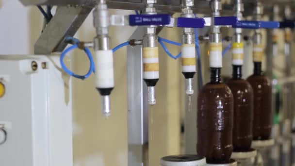 Bottling beer in the beer factory — Stock Video