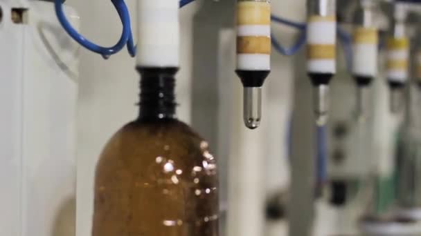 Worker pours bottled beer at the factory — Stock Video