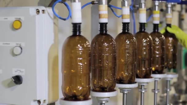 Работник разливает пиво в бутылки на заводе — стоковое видео