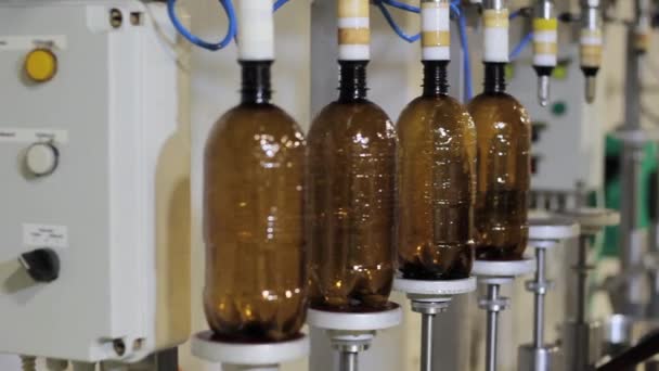 Operaio versa birra in bottiglia in fabbrica — Video Stock
