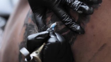 Usta bir dövme kaplan katalizatörler