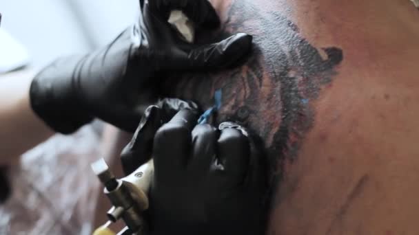 Master stoppar en tatuering tiger — Stockvideo