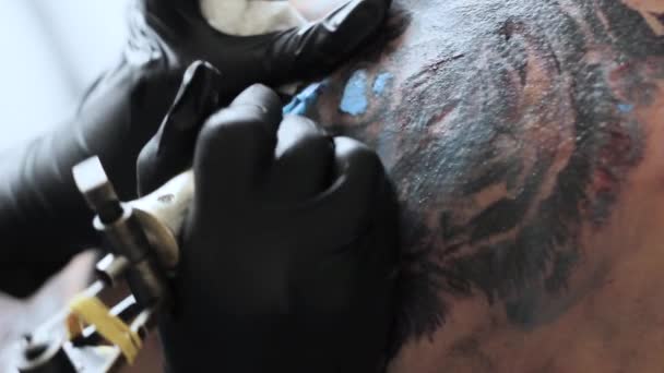 Master stoppar en tatuering tiger — Stockvideo