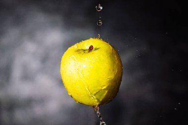 Damlalı sulu elma ve güzel su damlaları, yükselme