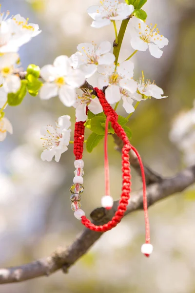 Çiçek açan bir dalında kırmızı bilezik