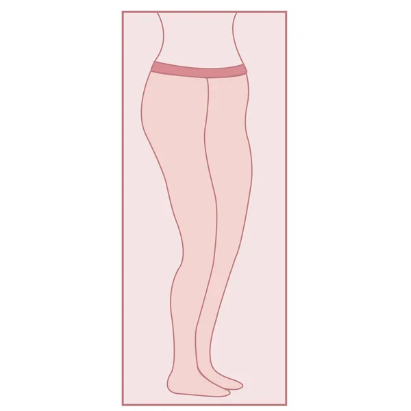Pink Pantyhose Women Symbol Conceptual Vector — Stock Vector