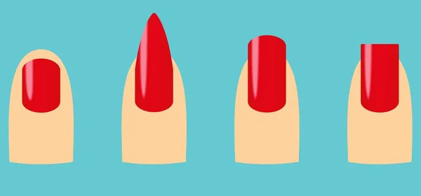 Four Nail Shapes Oval Square Stiletto Squoval — Stockvector