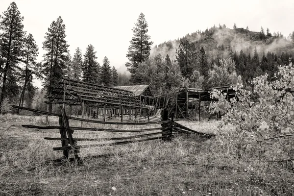 B&W of old barn. — Stock Photo, Image