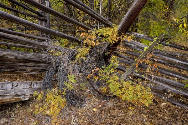 Barbed wire and livestock ramp. — Stock Photo, Image