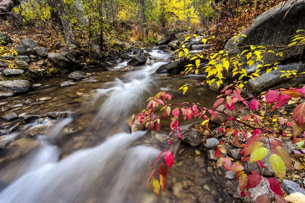 Färgglada falls creek i höst. — Stockfoto