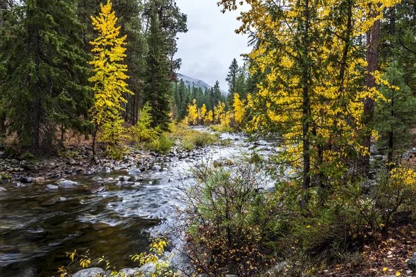 Chewuch rivier in de herfst. — Stockfoto