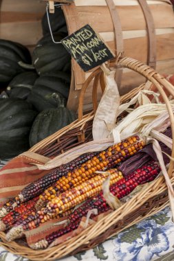 Sepeti alan Mısır ekranda.