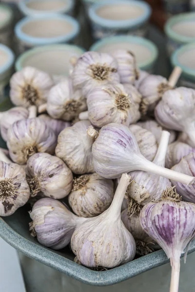 Bulbs of garlic on display. — Stockfoto