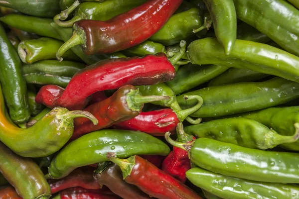 Rote und grüne Jalapeño-Paprika. — Stockfoto