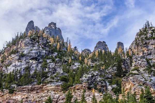 Early Winter Spires em Washington . — Fotografia de Stock