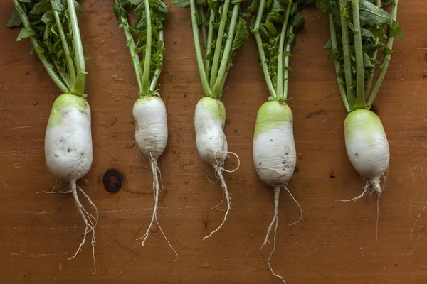 Newly picked large radishes on table. — Stock Photo, Image