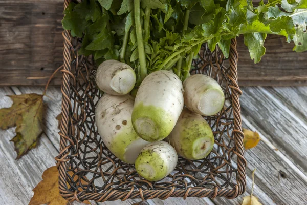 Harvested radishes in small basket. — Stock Photo, Image