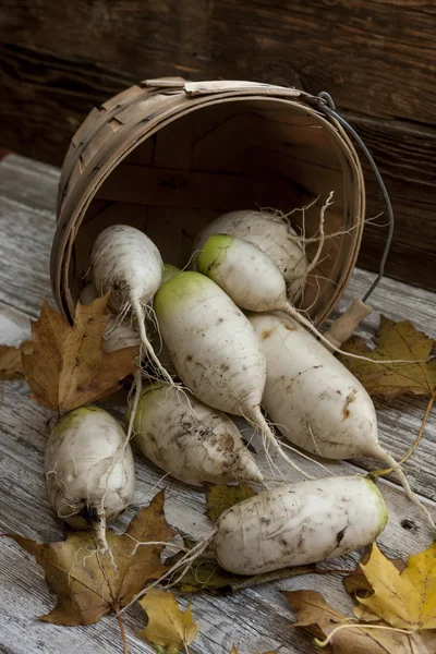 Close up of chinese radishes in basket. — Stock Photo, Image