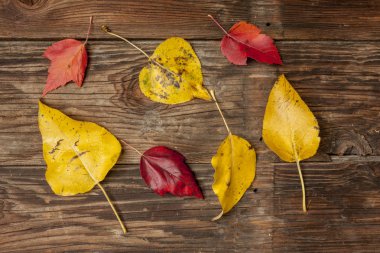 ahşap üzerine bırakır.