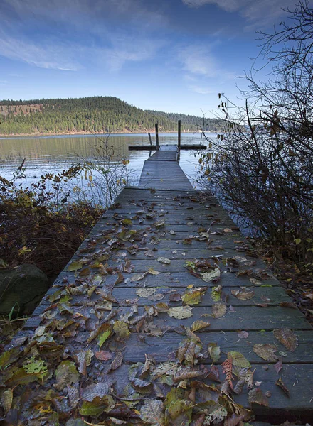 Листья на пристани у озера . — стоковое фото