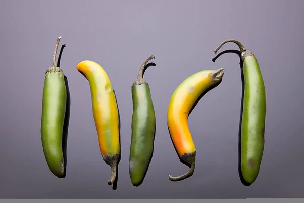 Five Jalapeno ppers laid out. — Stock Photo, Image