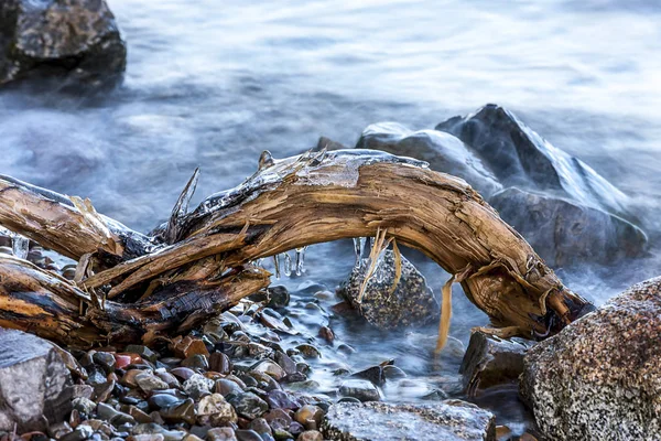 Primer plano de una rama con hielo . — Foto de Stock