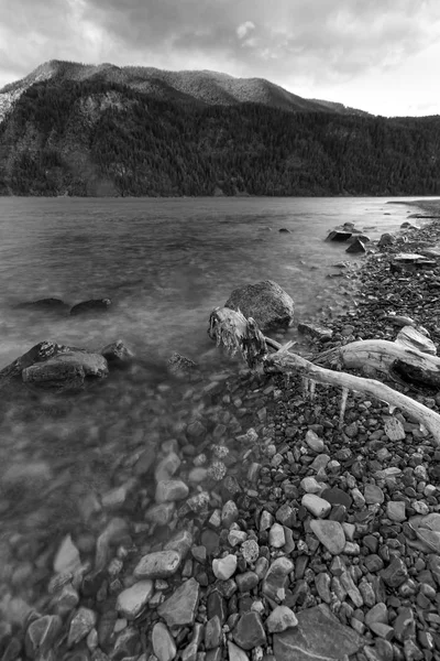 B & W of Pend Oreille Lake shore in Idaho . — Foto Stock