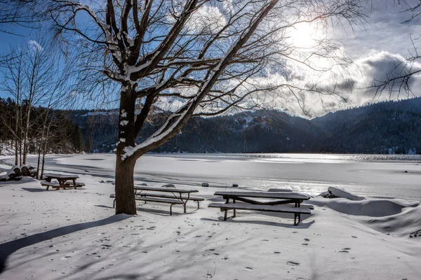 Parc désolé au bord du lac en hiver . — Photo