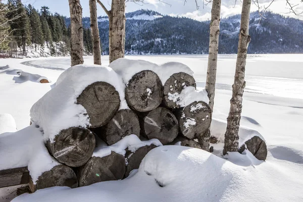 Neve coberto de lenha por lago . — Fotografia de Stock