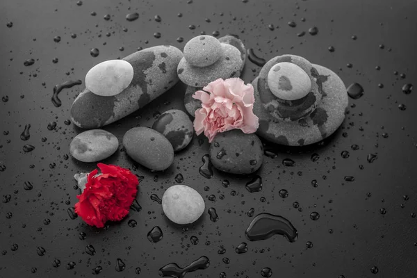 Gotas de agua, rocas y flores . —  Fotos de Stock