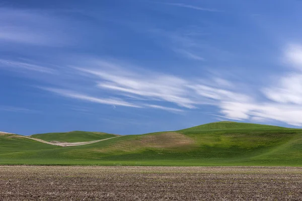 Colinas onduladas en el Palouse . —  Fotos de Stock