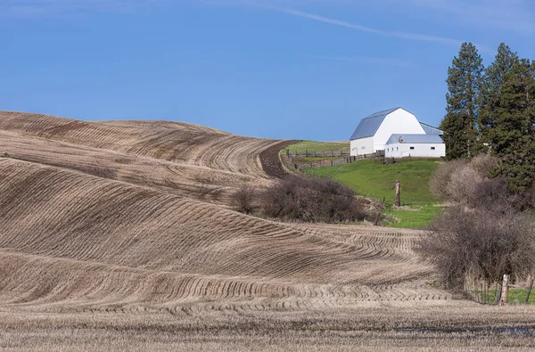 Fienile e campo sulla Palude . — Foto Stock