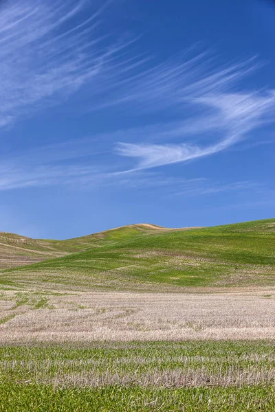 Colinas verdes sob um céu azul . — Fotografia de Stock