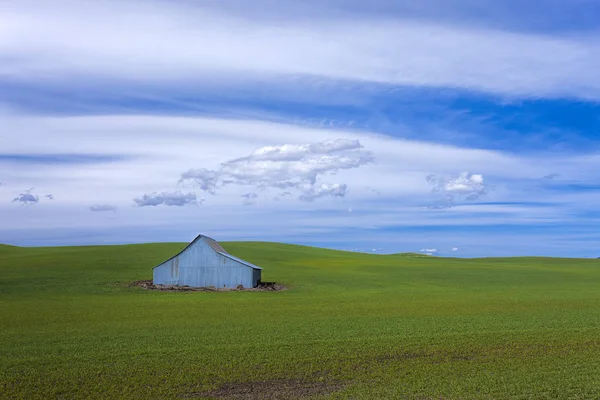 Metal barn in green field. — Stock Photo, Image