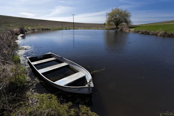 Oude roeiboot in een kleine vijver. — Stockfoto