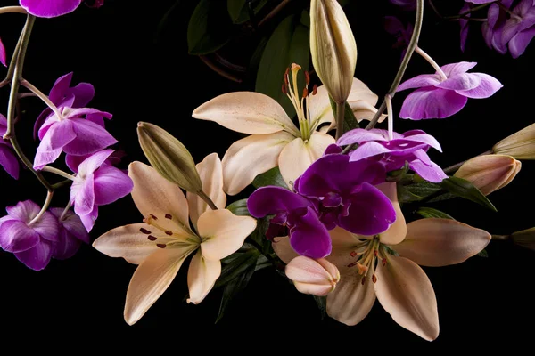 Orchideeën en lelies. — Stockfoto