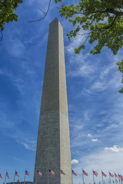 Monumento a Washington enmarcado por árboles . — Foto de Stock