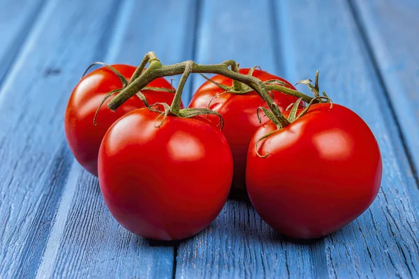 Tomates exibidos com a videira . — Fotografia de Stock