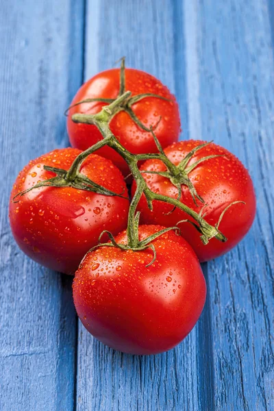 Visão geral de tomates maduros molhados . — Fotografia de Stock