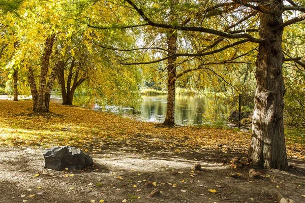 Autumn by the pond in Moscow, Idaho. — Stock Photo, Image