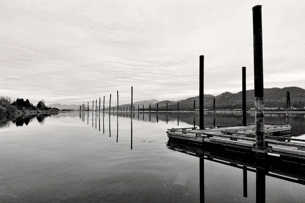 B & W de rio calmo . — Fotografia de Stock