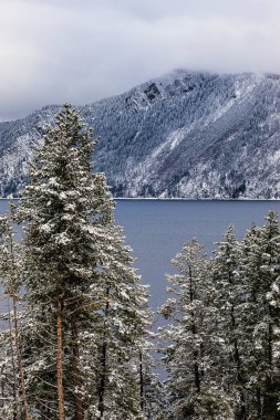 Karlı ağaçlar ve mounatins.