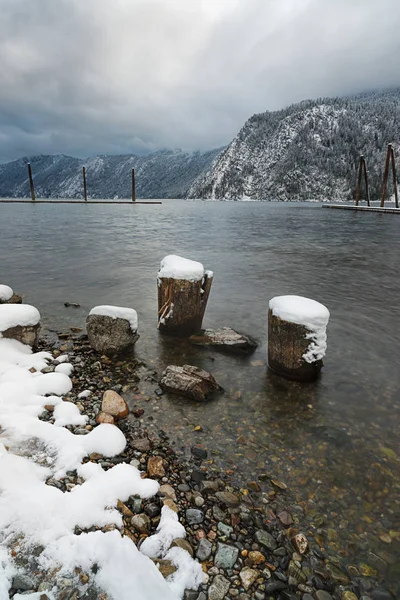 Wood stumps by the lake in winter. — Stock Photo, Image