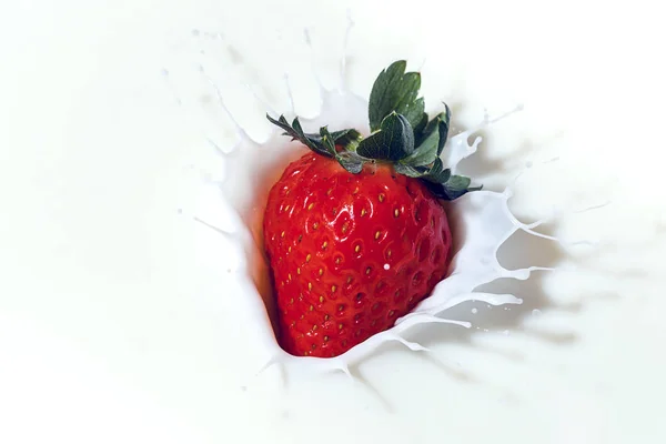 Strawberry stänk i mjölk. — Stockfoto