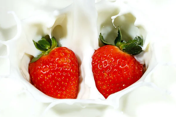 Two strawberries dropped into milk. — Stock Photo, Image