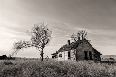 Terk edilmiş çiftlik evinin B&W.