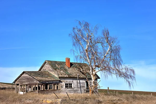 Elhagyott ház fa. — Stock Fotó
