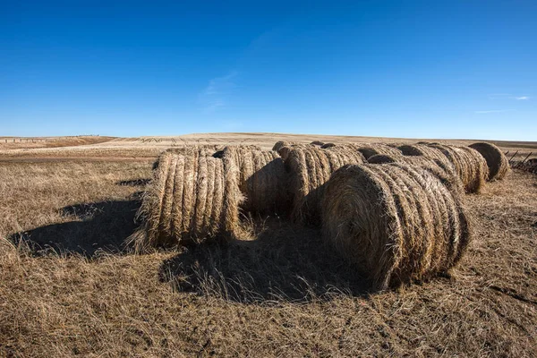 Hay bundles in the field. — Stock Photo, Image