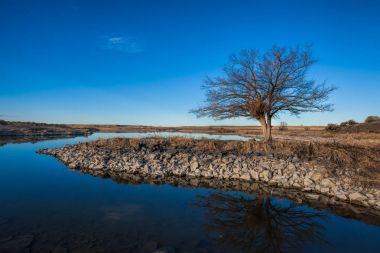 Sabah manzara resim Washington.