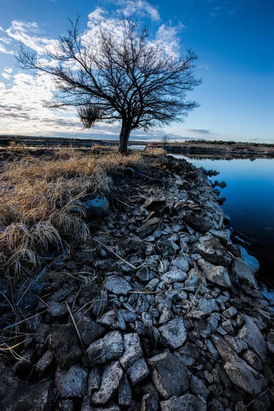 Rocce sulla riva portano ad albero . — Foto Stock